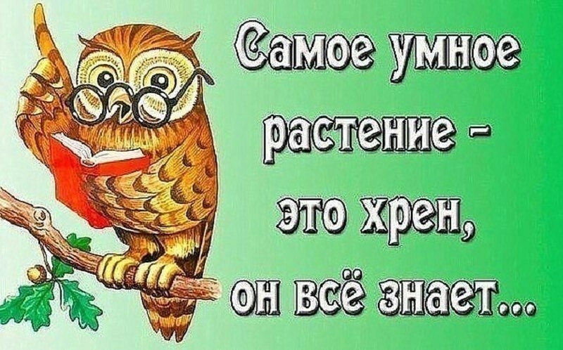 Самоелумное хрен а ЗНаето