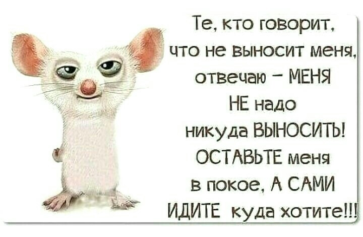 Те кто говорит и 4 что не выносит меня о отвечаю МЕНЯ НЕ надо никуда ВЫНОСИТЬ ОСТАВЬТЕ меня ый в покое А САМИ