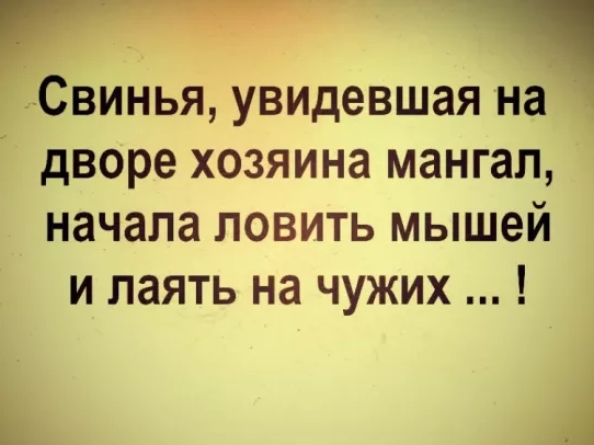 Свинья увидевшая дворе хозяина мангал начала ловить мышей и лаять на чужих
