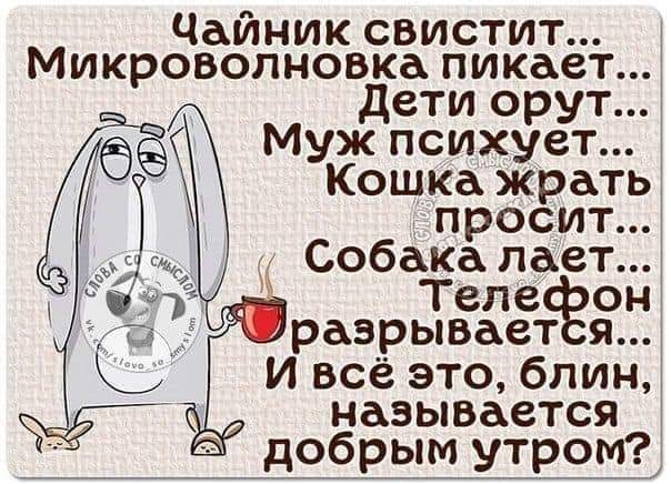 Чайник свистит Микроволновка пикает дети орут Муж психует Кошка жрать просит Собака лает Теле разрывает я И всё это блин называется добрым утром