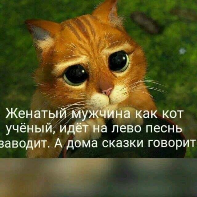 учёный и і лево песнь заводит А дома сказки говорит