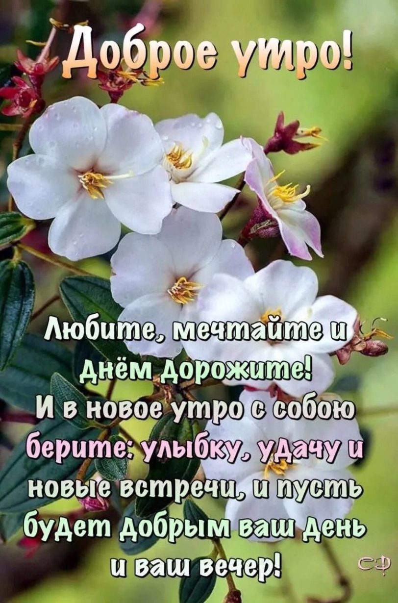 дЁдчлброе утро _а берите удыу ножке Встречи Ш пусть будет добііым ваш день и ваш СФ