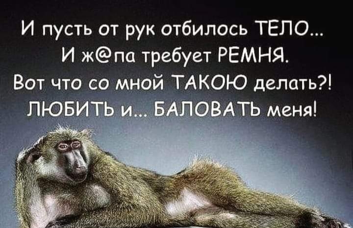 И пусть от рук отбилось ТЕЛО И жпа требует РЕМНЯ Вот что со мной ТАКОЮ делать
