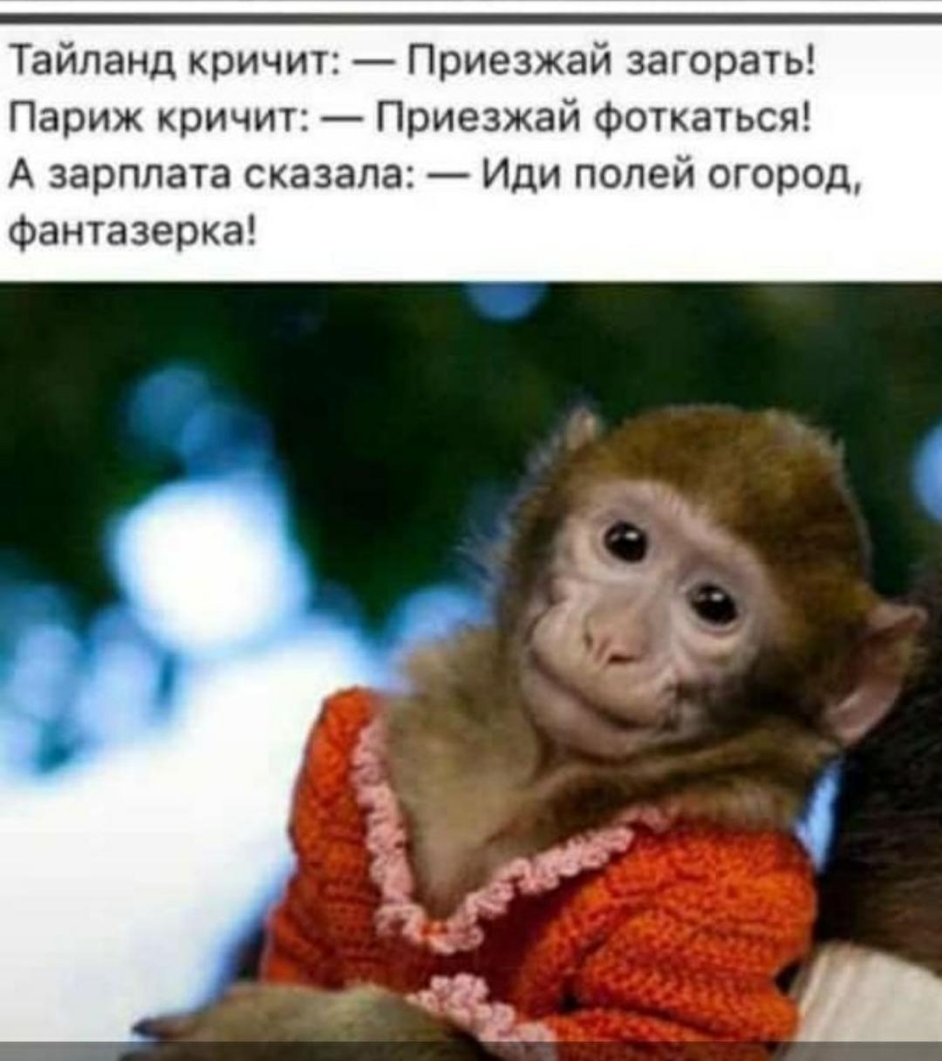 Тайланд кричит Приезжай загорать Париж кричит Приезжай фоткаться А зарплата сказала Иди полей огород Фантазерка