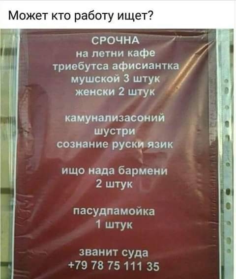Может кто работу ищет на летни кафе и К триебутса афисиантка мушской 3 штук э г СРОЧНА 7 женски 2 штук й камунализасоний шустри Т сознание руски язик ищо нада бармени 2 штук пасудпамойка 1 штук званит суда 79 78 75 111 35