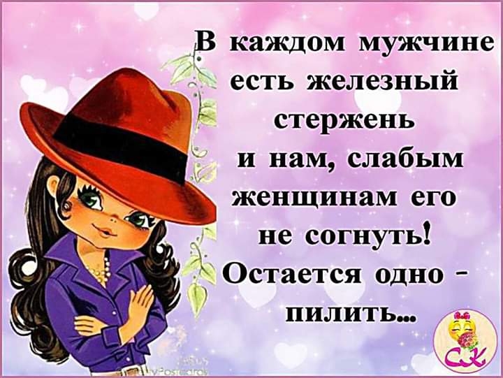 В каждом мужчине 1_ есть железный стержень и нам слабым женщинам его не согнуть Остается одно пилить