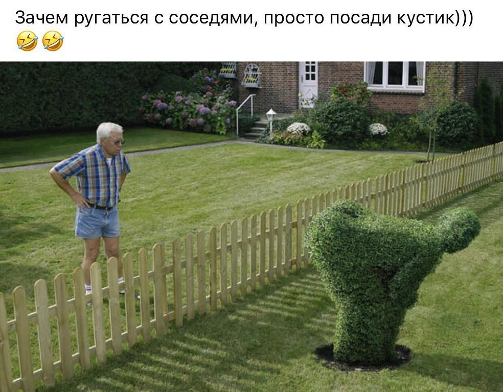 Зачем ругаться с соседями просто посади кустик