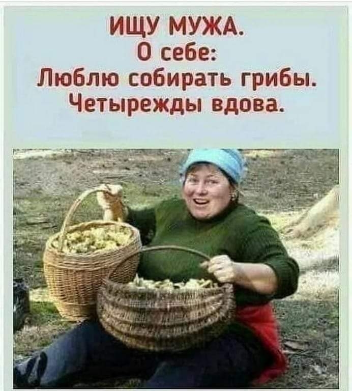 ИЩУ МУЖА О себе Люблю собирать грибы Четырежды вдова