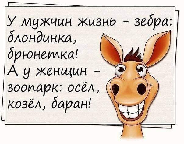 У мужчин жизне зебра бАондынка брюнеилка _ Ау женщин Ё зоопарк всё козёА баран