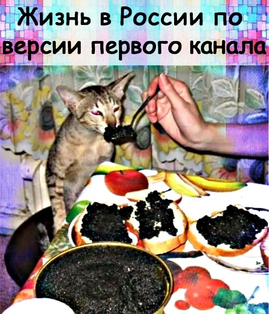 Кизнь в Роесии п Ёерсии первого канала
