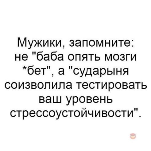 Мужики запомните не баба опять мозги бет а сударыня соизволила тестировать ваш уровень стрессоустойчивости