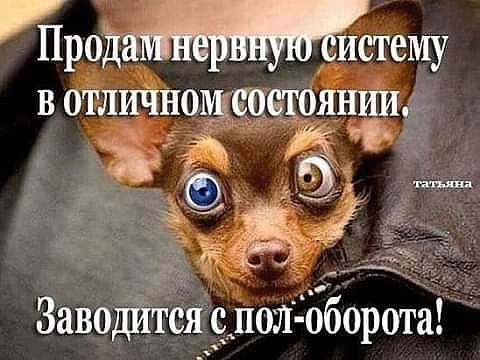 Продаистему в отлжносоетоятъ Ваней сяЁдоЛ Ъборота