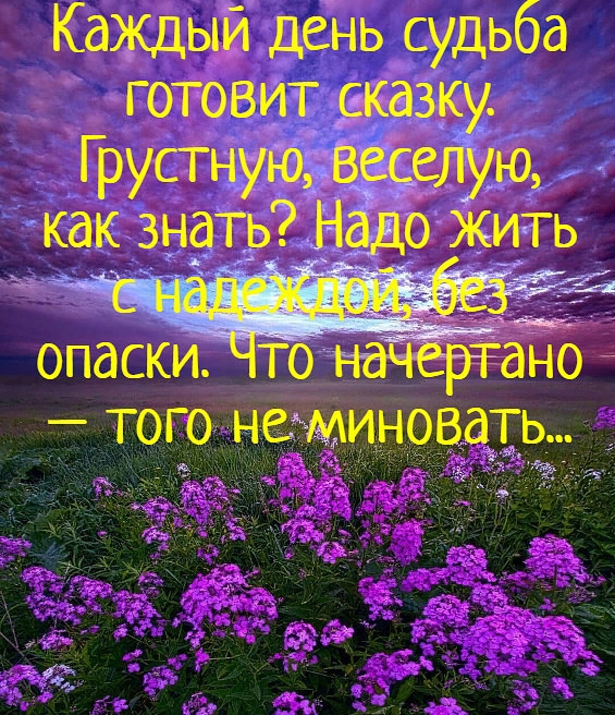 Каждый день судьба готовит сказку Г русгнуювеелую как знать Надо жить опаски то начертано того НМИНОВдЩЁ