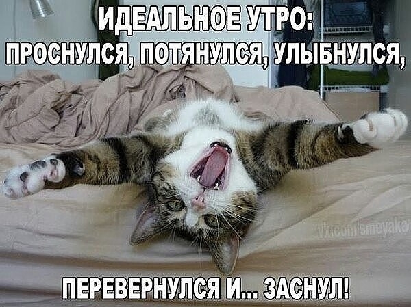 потянулся ульіБЩся