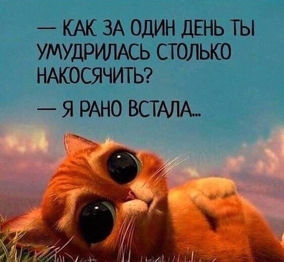 КАК ЗА ОДИН ДЕНЬ ТЫ УМУДРИЛАСЬ СТОЛЬКО НАКОСЯЧИТЬ РАНО ВСТАЛА _
