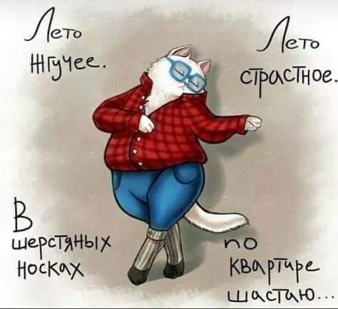 Лс СТРОхСТТ і ое