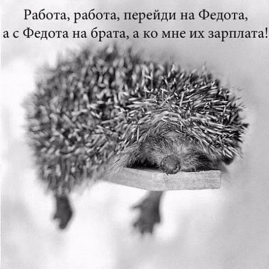 Работа работа перейди на Федота а с Федота на брата ко мне их зарплата