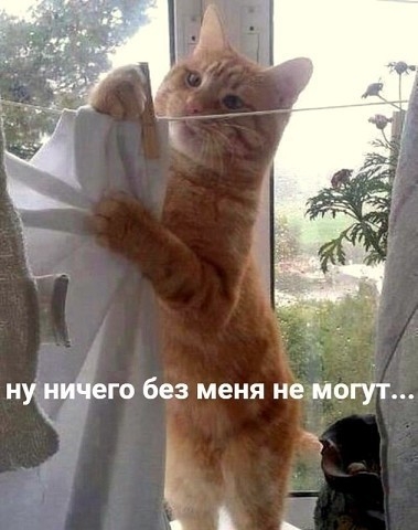 нунийего без меня немогут ж
