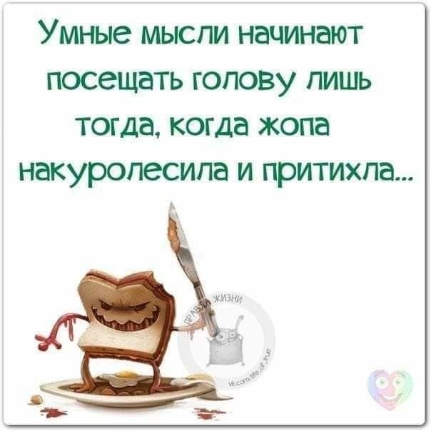 Умные мысли начинают посещать голову лишь тогда когда жопа накуропесипа и притихпа