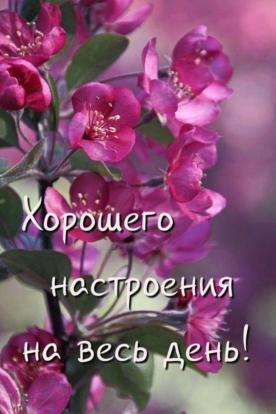 РБШСЮ 19 Ъ