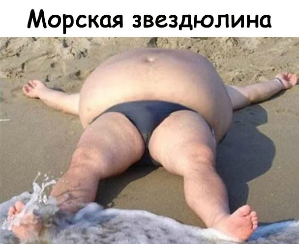 Морская звездюлина