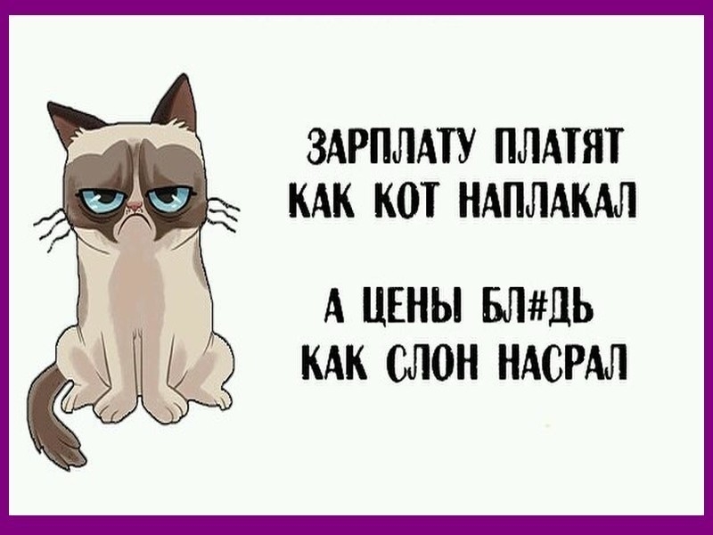 ЗАРПЛАТУ ПЛАТЯТ КАК КОТ НАПЛАКАЛ А ЦЕНЫ ЫНЩЬ КАК СЛОН НАСРАЛ