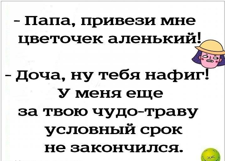 Папа привези мне цветочек аленький доча ну тебя нафиг У меня еще за твою чудотраву условный срок не закончился