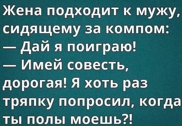 Жена подходит к мужу сидящему за компом дай я поиграю Имей совесть дорогая Я хоть раз тряпку попросил когда ты полы моешь