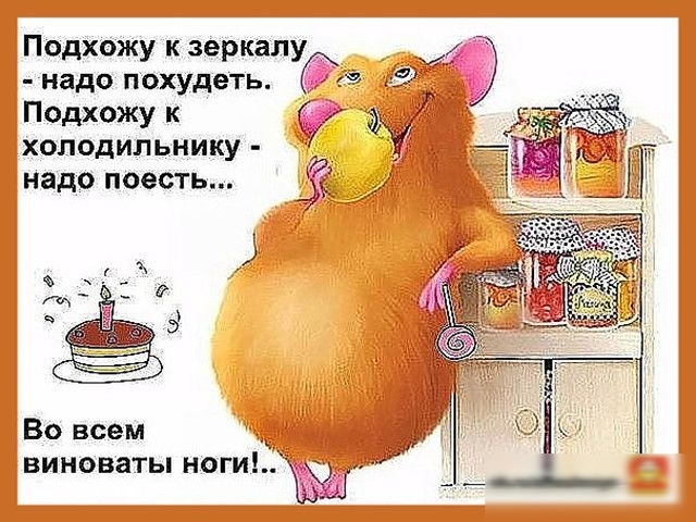 Подхожу к зеркалу надо ПОХУДеТЬ 59 и Подхожу к холодильнику ФУ надо поесть