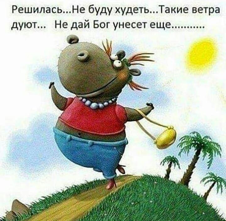 РешиласьНе буду худетьТакие ветра дуют Не дай Бог унесет еще