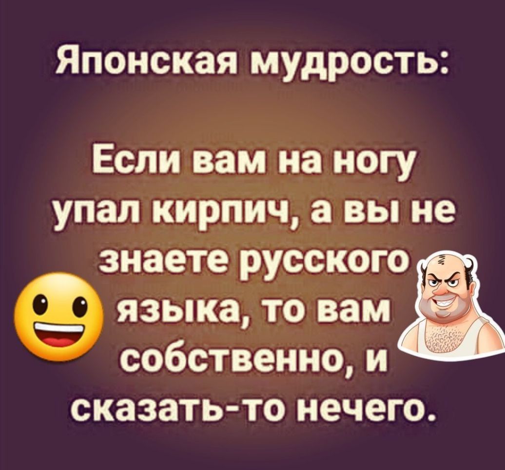Японская мудрость Если вам на ногу упал кирпич а вы не знаете русского а языка то вам собственнои сказать то нечего