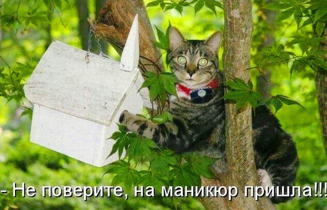 Н на маниікюрдіфшлаш і