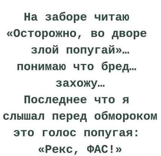 На заборе читаю Осторожно во дворе злой попугай понимаю что бред захожу Последнее что я слышал перед обмороком это голос попугая Рекс ФАС