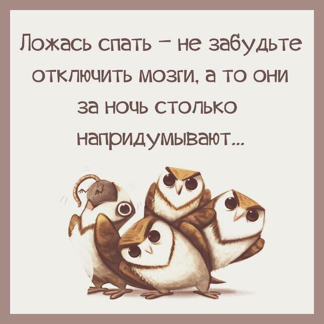 Ложась спать не забудьте отключить мозги а то они за ночь столько напридумывают