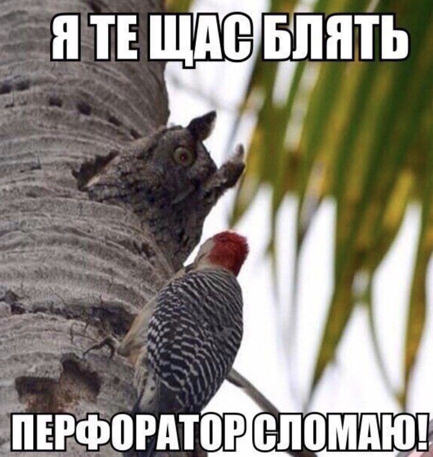 _ я ТЕ щде 1рнть дуг певсіъогдтог ел вы _