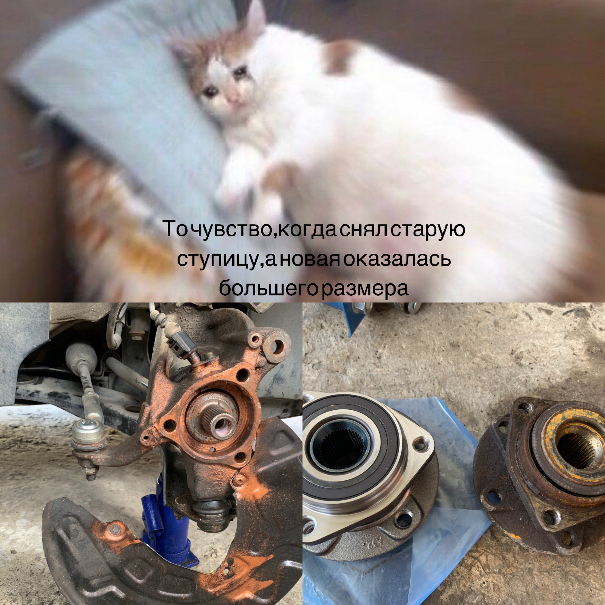 Т увотвс сёупицудн