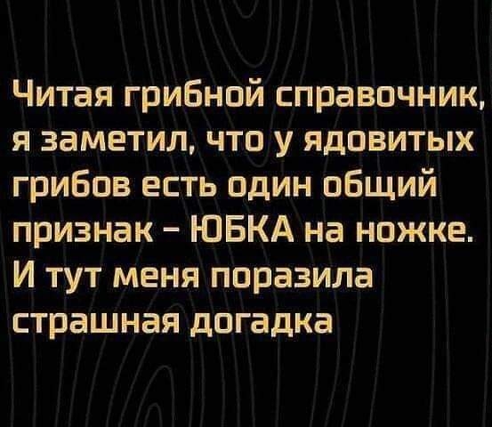 Читая грибной справочник я заметил что у ядовитых грибов есть один общий признак ЮБКА на ножке И тут меня поразила страшная догадка