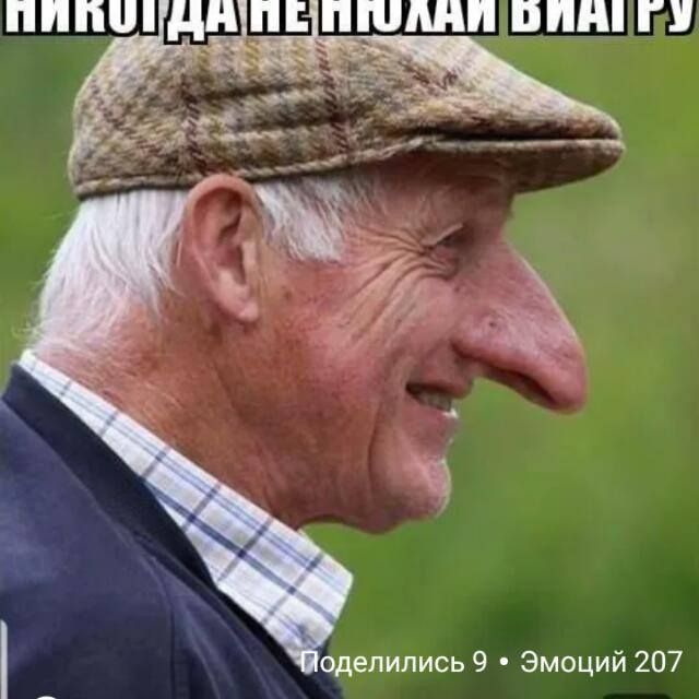 пппшдн П ШМ Б одепипись 9 Эмоций 207