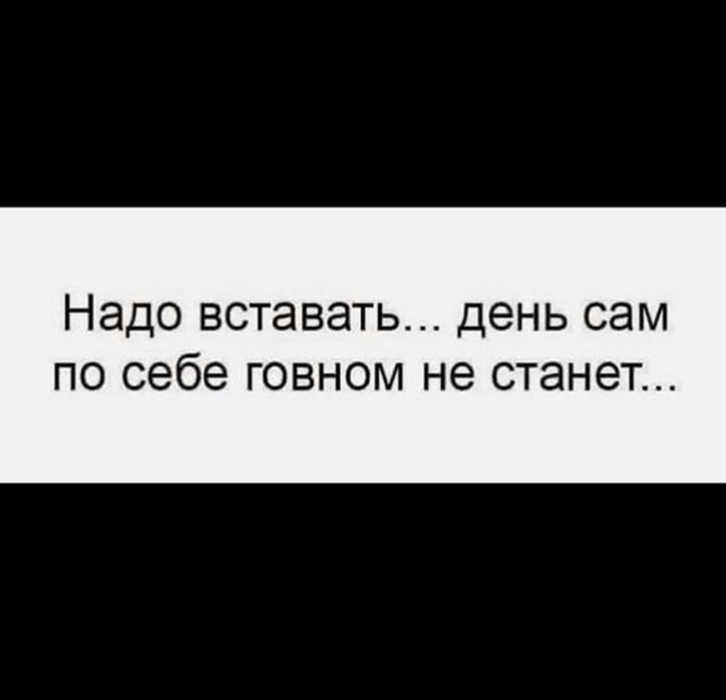 Надо вставать день сам по себе говном не станет