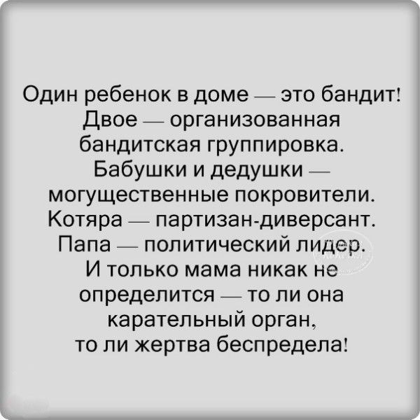 Один ребенок в доме _ это бандит Двое _ организованная бандитская группировка Бабушки и дедушки _ могущественные покровители Котяра _ партизан диверсант Папа политический лидер И только мама никак не определится _ то ли она карательный орган то ли жертва беспредела