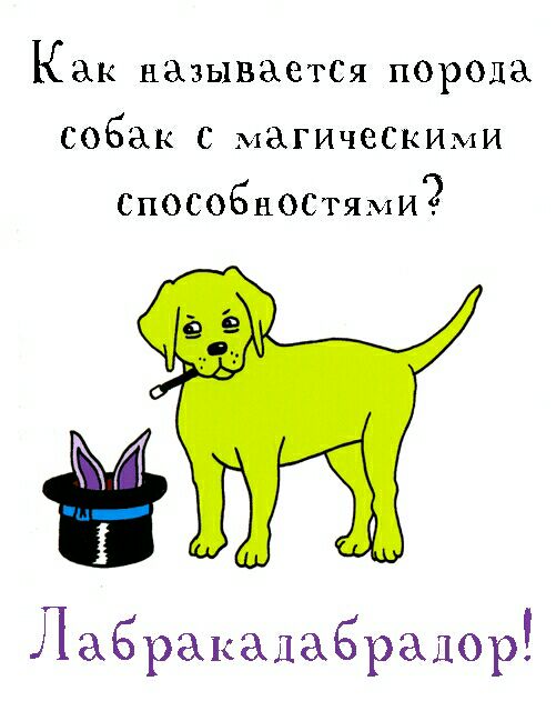 Как называегСя порода собак магическиМи СпособноСтями2 Лаёракалабралор