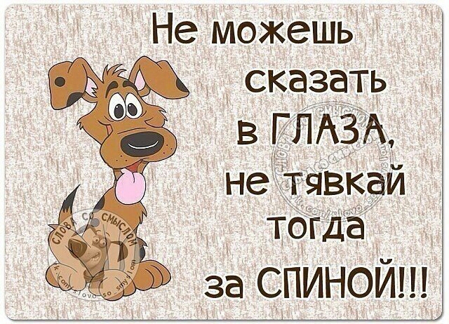 Не моЖешь сказать В Г ЛАЗ не тявкаи тогда за спинойш
