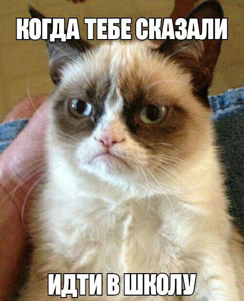 ногдд ТЕБЕ снизили