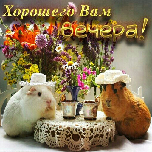 Хороша Вы и п ЭГИЧЫМД