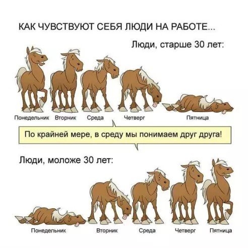 КАК ЧУВСТВУЮТ СЕБЯ ЛЮДИ НА РАБОТЕ Люди старше 30 лет ТГУ ий Понедельник Вторник По крайней мере в а мы понимаем друг друга УТ
