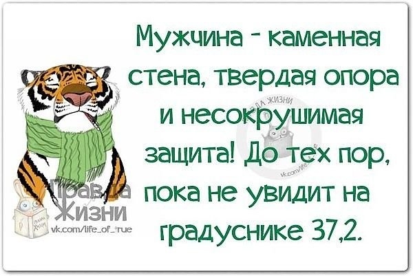 Мужчина каменная стена твердая опора и несокБУшимая защита Дом гех пор пока не УВИДИТ НЭ ИЗНИ градуснике 372