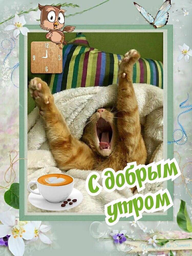 тт