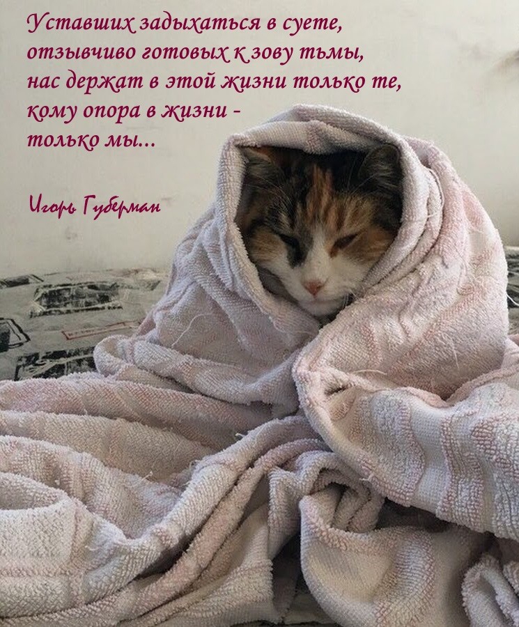 Уставших задыхаться в суете отзывчиво готовых кзову тьмы нас держат в этой жизни только те хому опора в жизни только мы _ Чим Г Хамам