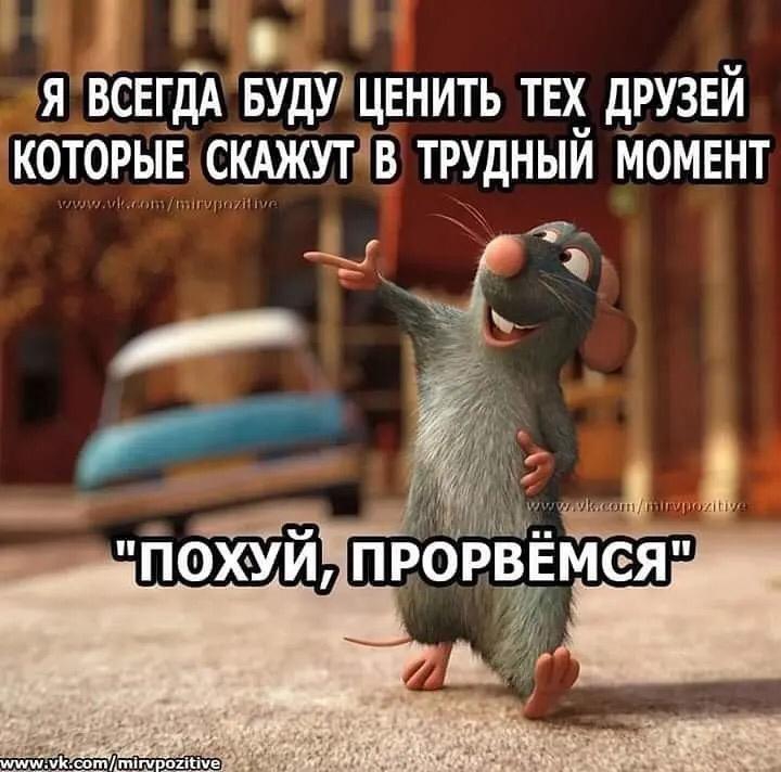 с Я ВСЕГДА БУДУ ЦЕНИТЬ ТЕХ дРУЗЕй которыЁ скджутдв трудный момент