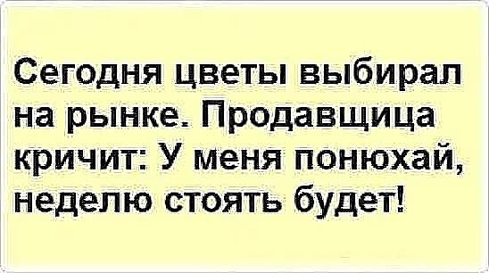 Сегодня цветы выбирал на рынка Продавщица кричит У меня понюхай неделю стоять будет